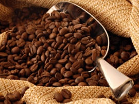 Cà phê Blue Mountain